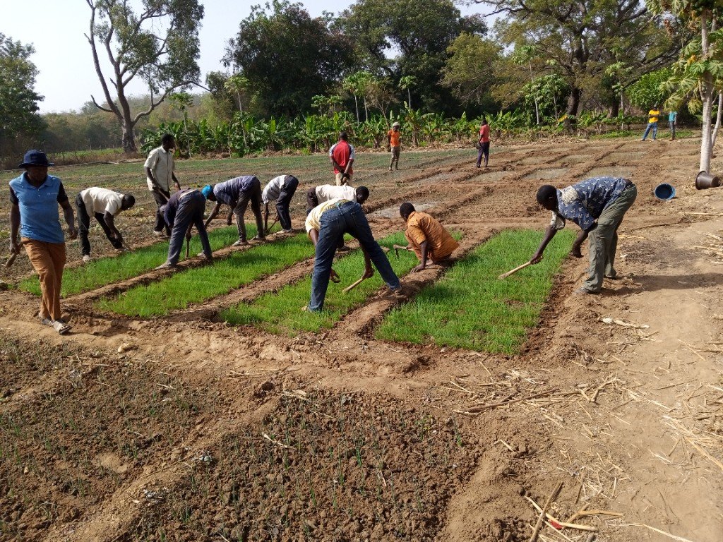 Travaux agricoles — Formation agricole IFBAB