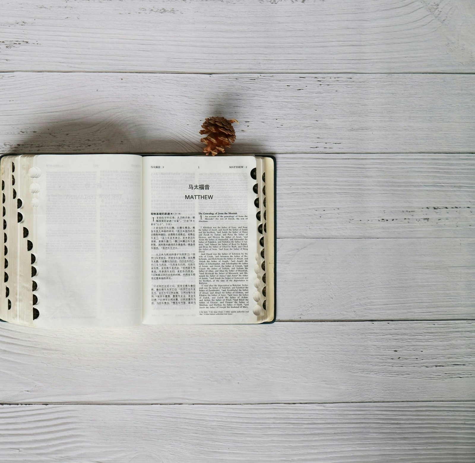 Bible ouverte — Formation biblique IFBAB